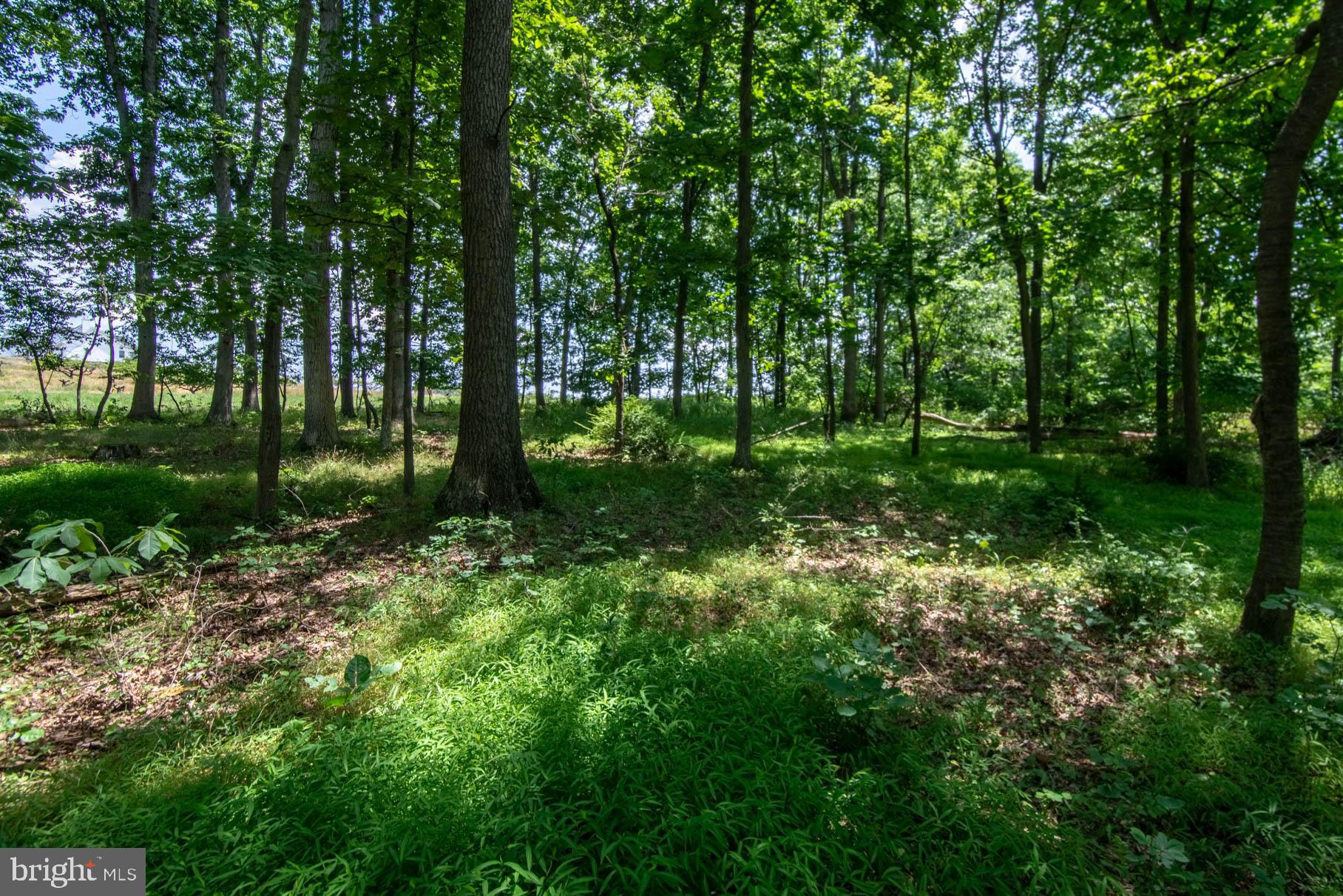 341 Carr Hill Road Gettysburg, PA 17325 - Photo 11 of 13