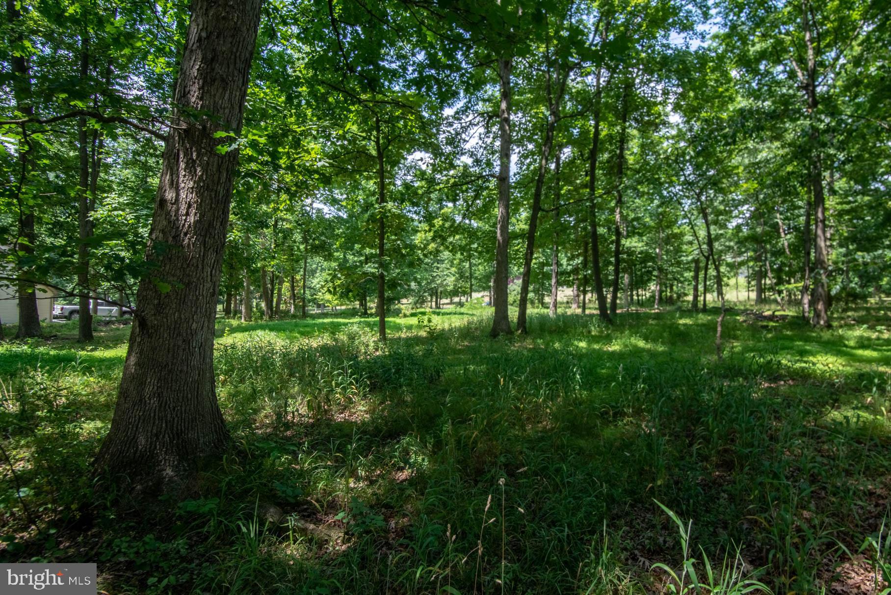 341 Carr Hill Road Gettysburg, PA 17325 - Photo 12 of 13