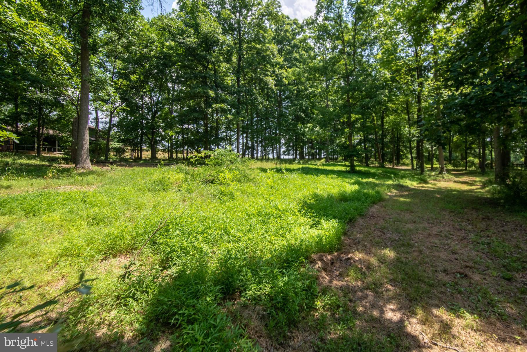 341 Carr Hill Road Gettysburg, PA 17325 - Photo 3 of 13