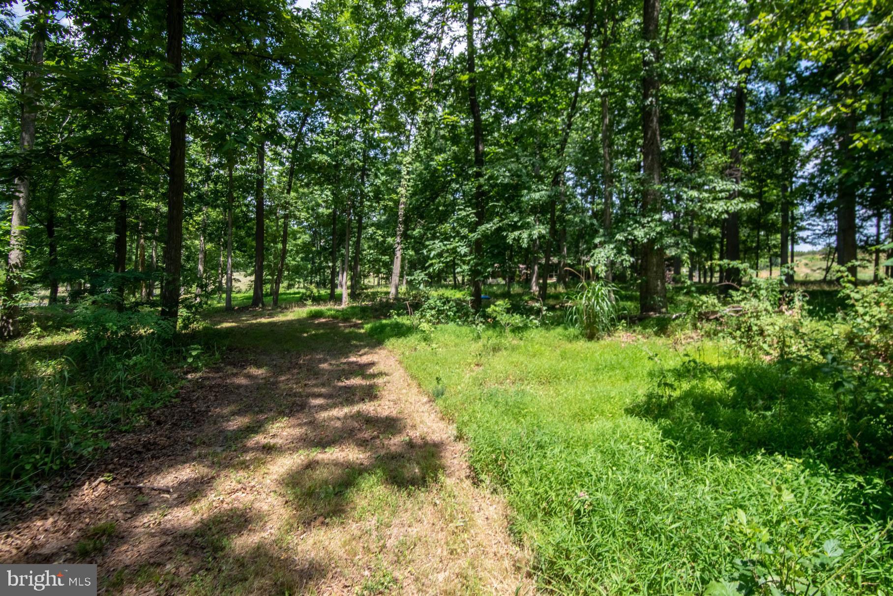 341 Carr Hill Road Gettysburg, PA 17325 - Photo 5 of 13