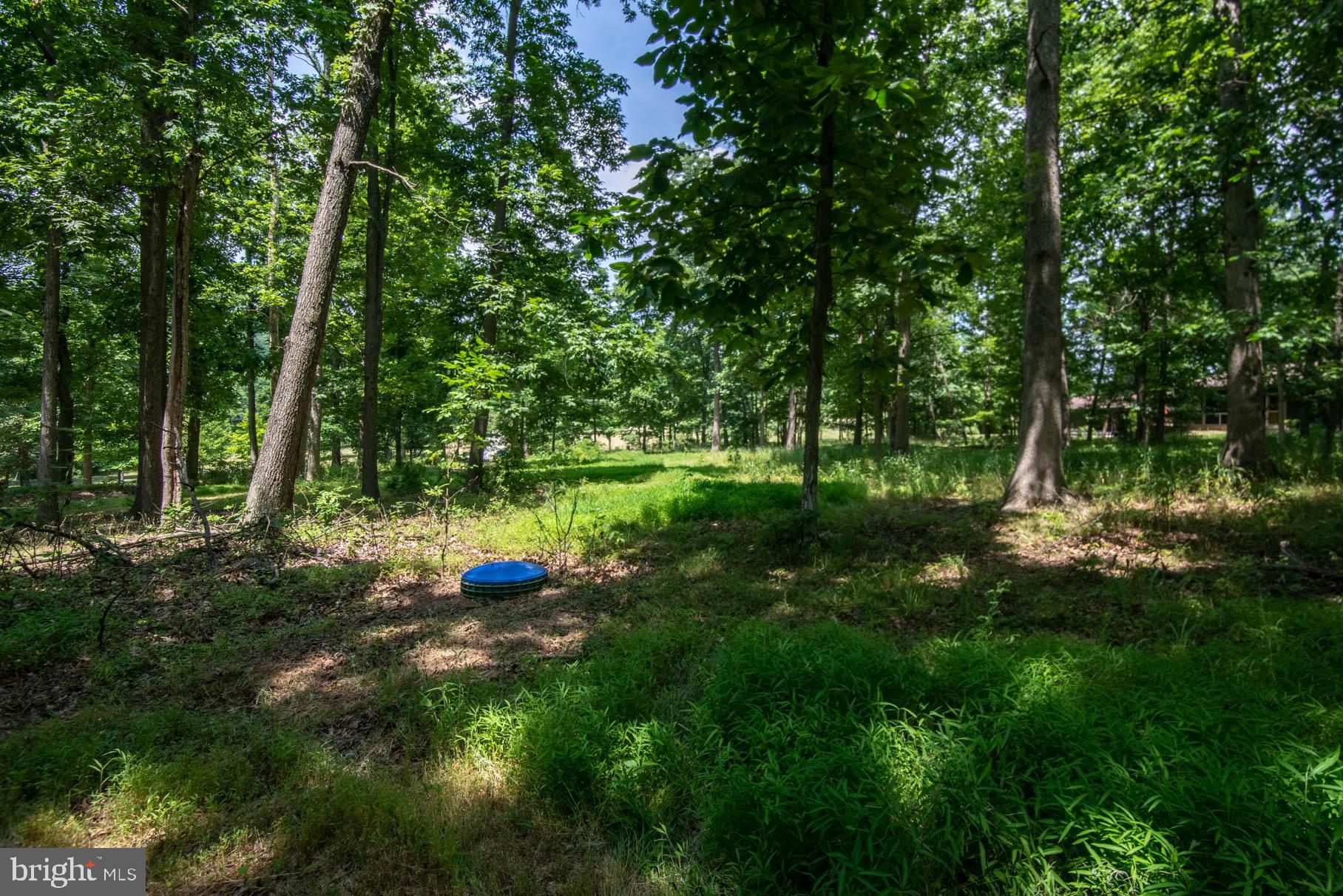 341 Carr Hill Road Gettysburg, PA 17325 - Photo 8 of 13