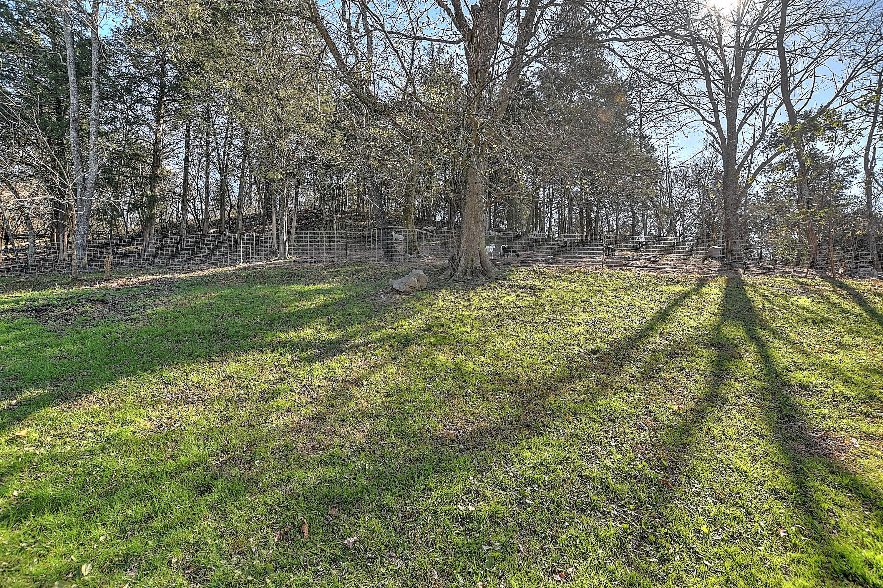 17633 Federal Road Mendota, VA 24270 - Photo 48 of 52 17633 Federal Rd-59