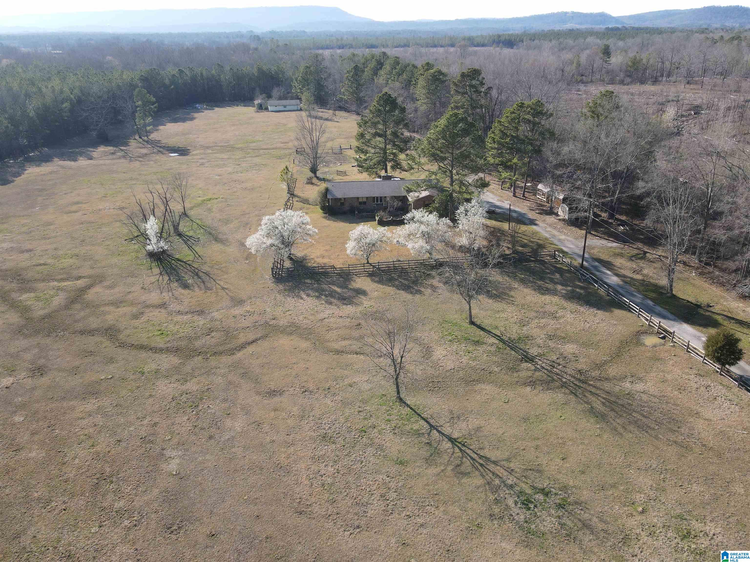 1016 Wesson Lake Road Attalla, AL 35954 - Photo 29 of 38 Gallery Image 29