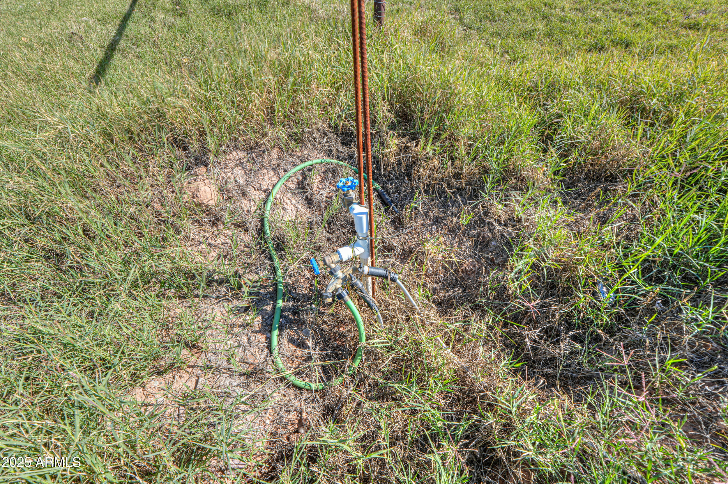 48217 West Quail Run Road, Unit 8 Maricopa, AZ 85139 - Photo 23 of 33 a view of a house with a tree