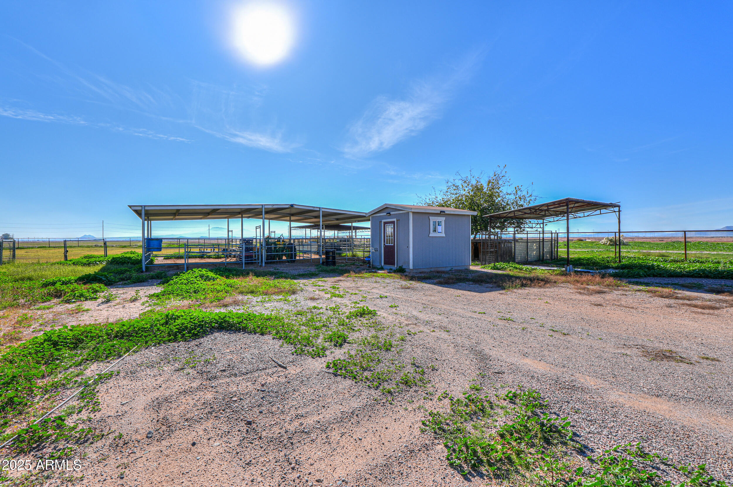 48217 West Quail Run Road, Unit 8 Maricopa, AZ 85139 - Photo 30 of 33 a front view of a house with a yard and potted plants