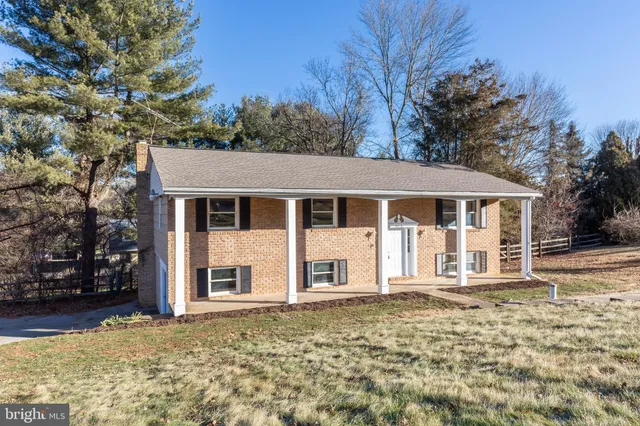 a view of a park with large trees