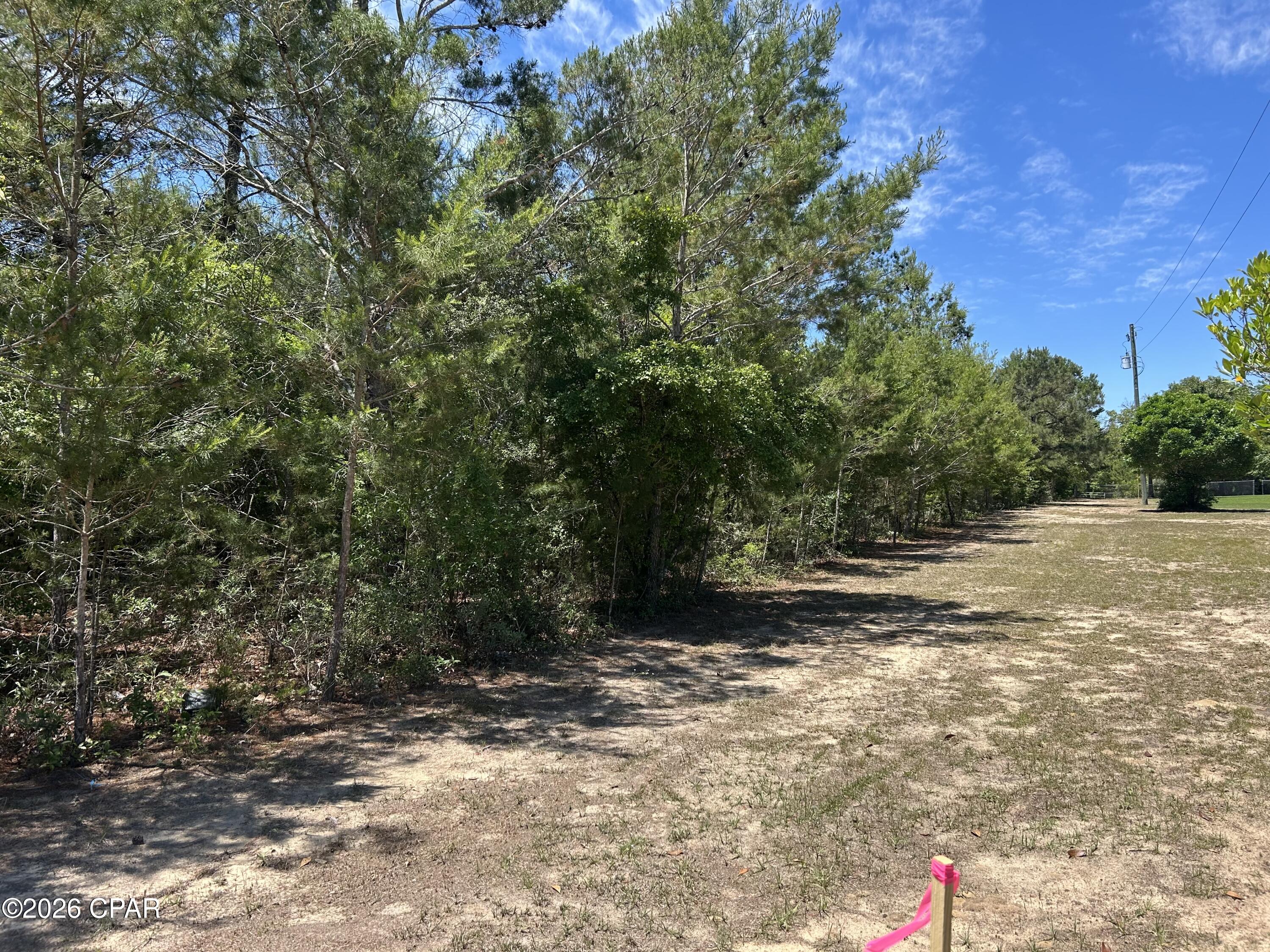 0 Bonnett Pond Road Chipley, FL 32428 - Photo 8 of 9