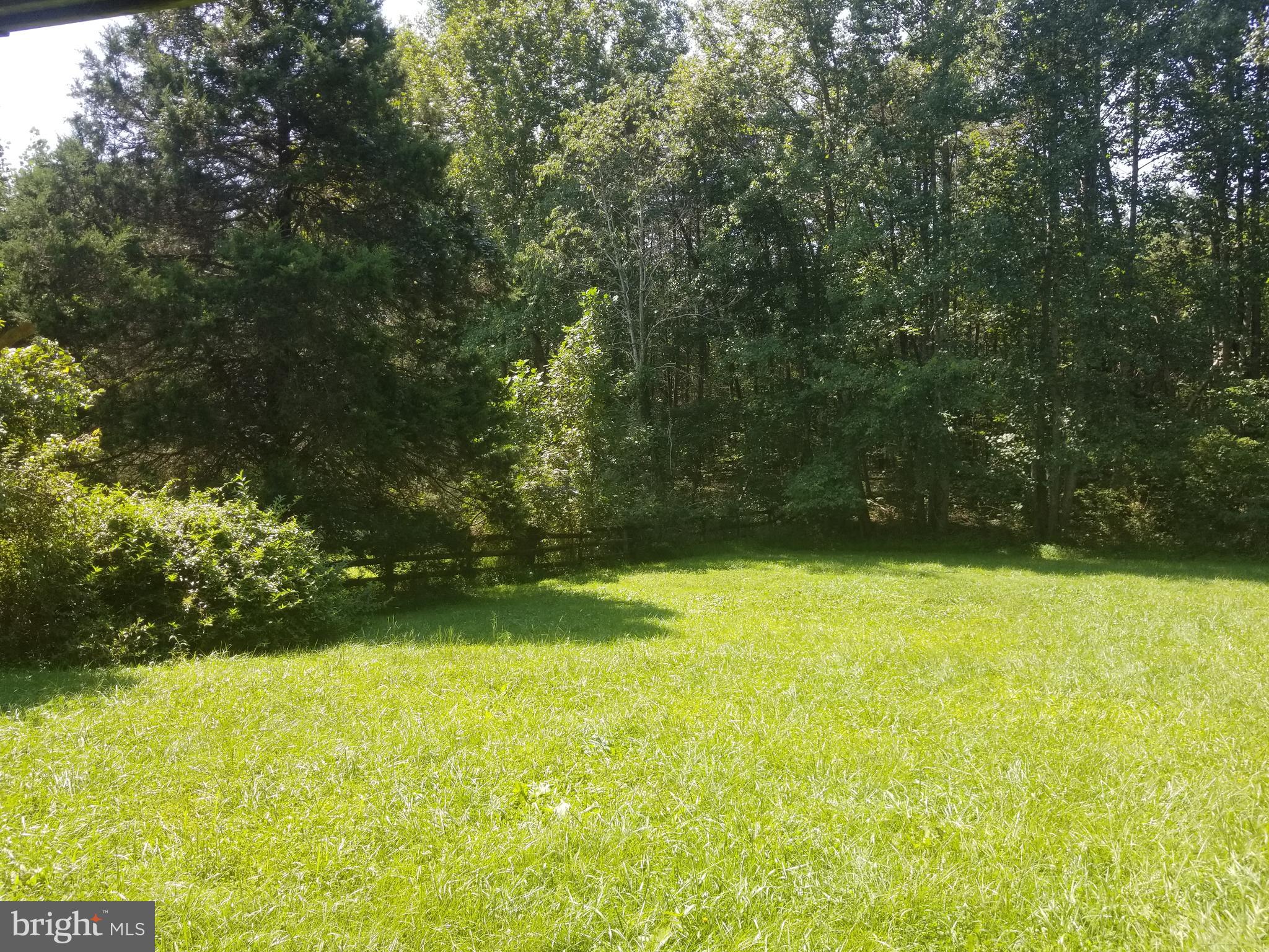 14520 Snake Castle Road Sumerduck, VA 22742 - Photo 16 of 21 Backyard