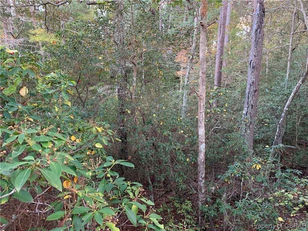 Lot 4 Paddock Drive Lancaster, VA 22503 - Photo 10 of 13