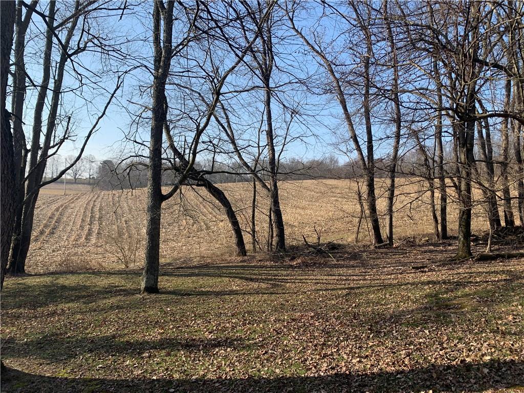 110 Tiger Road Evans City, PA 16033 - Photo 4 of 24