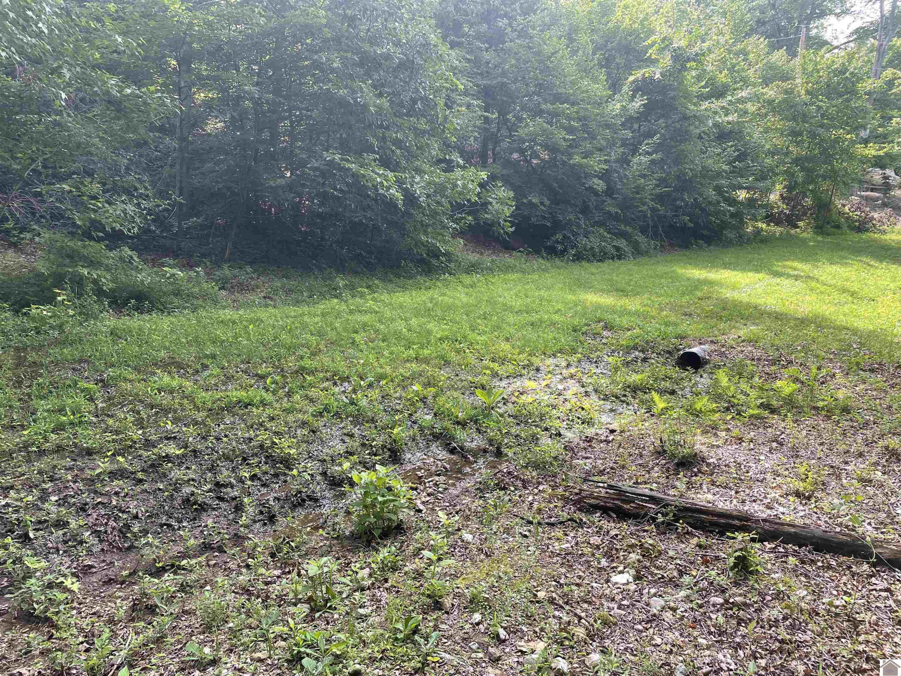 3642 Linton Road Cadiz, KY 42211 - Photo 17 of 18 Photo 17