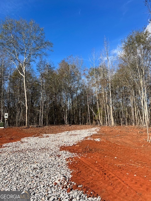 148 Berry Road Barnesville, GA 30204 - Photo 2 of 2