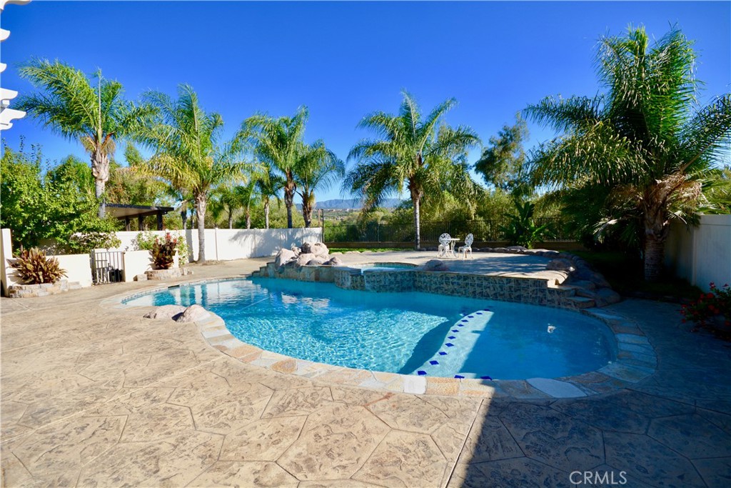 a view of a yard with palm trees