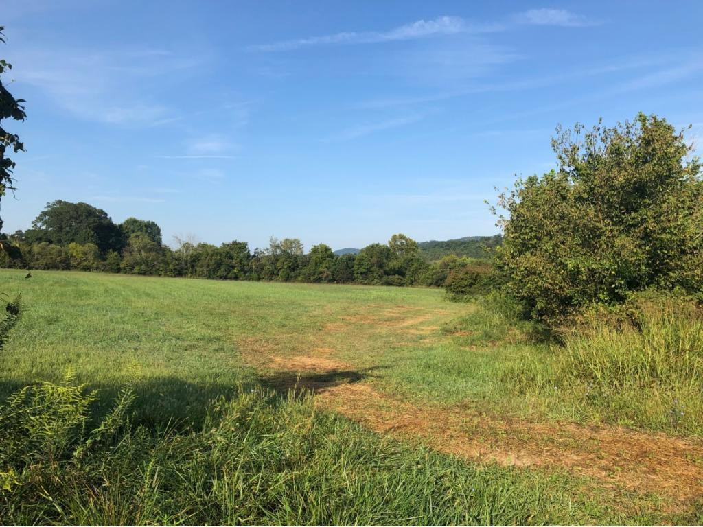 0 Ninny Ridge Road, Unit 6 Whitesburg, TN 37891 - Photo 8 of 8 Photo 8