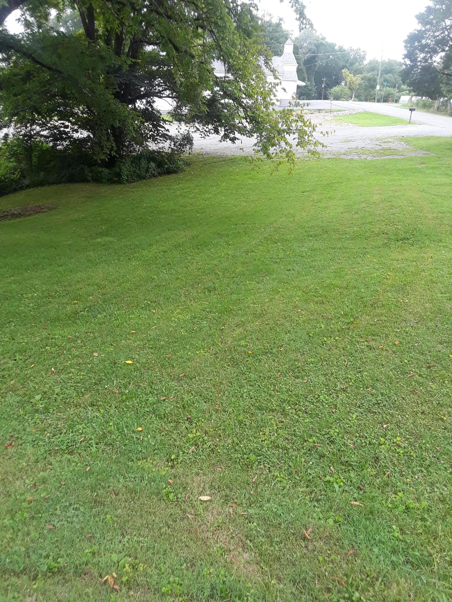 8027 Clapps Chapel Road Corryton, TN 37721 - Photo 3 of 6 20190730_134600