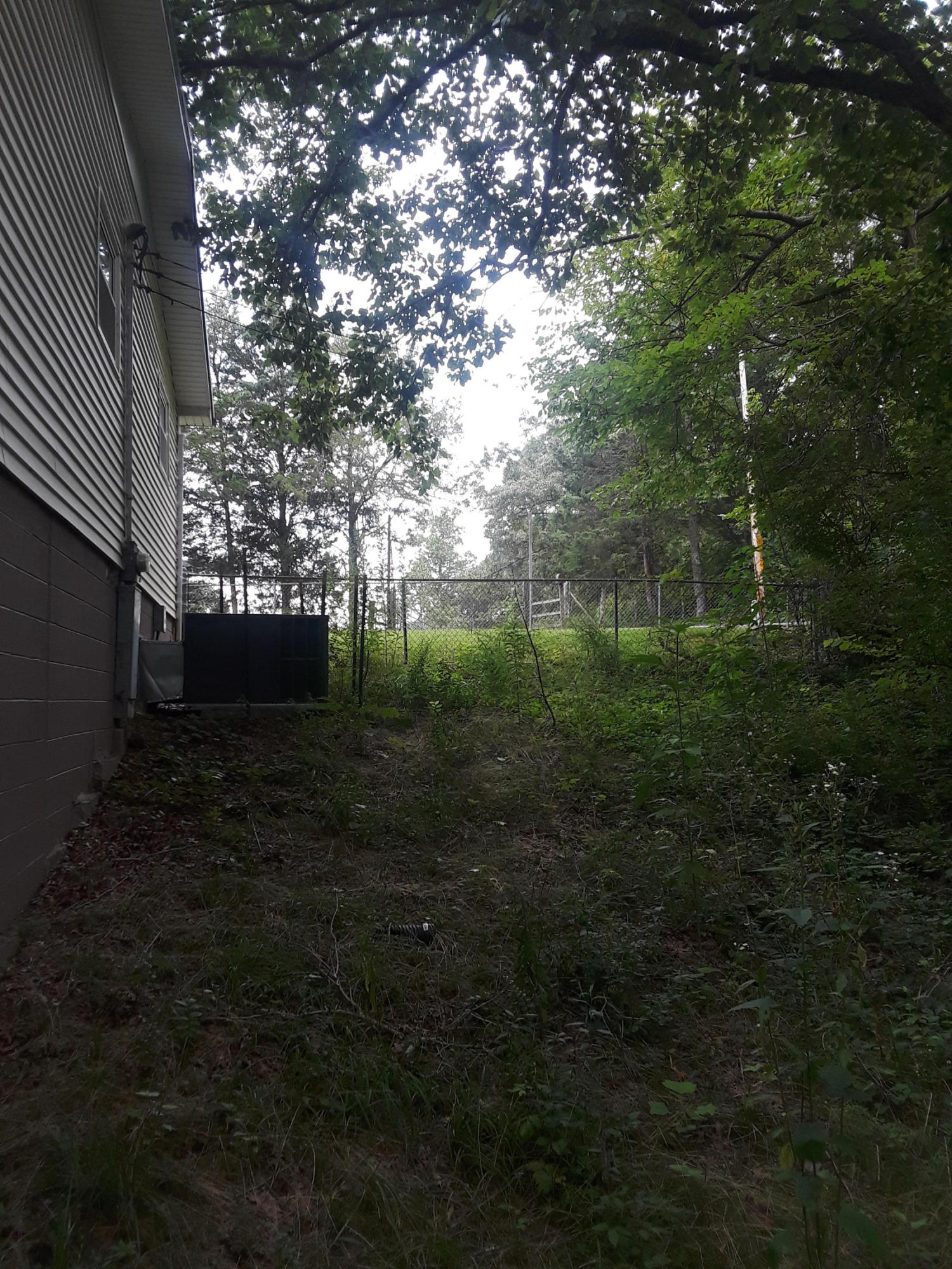 8027 Clapps Chapel Road Corryton, TN 37721 - Photo 5 of 6 20190730_134643