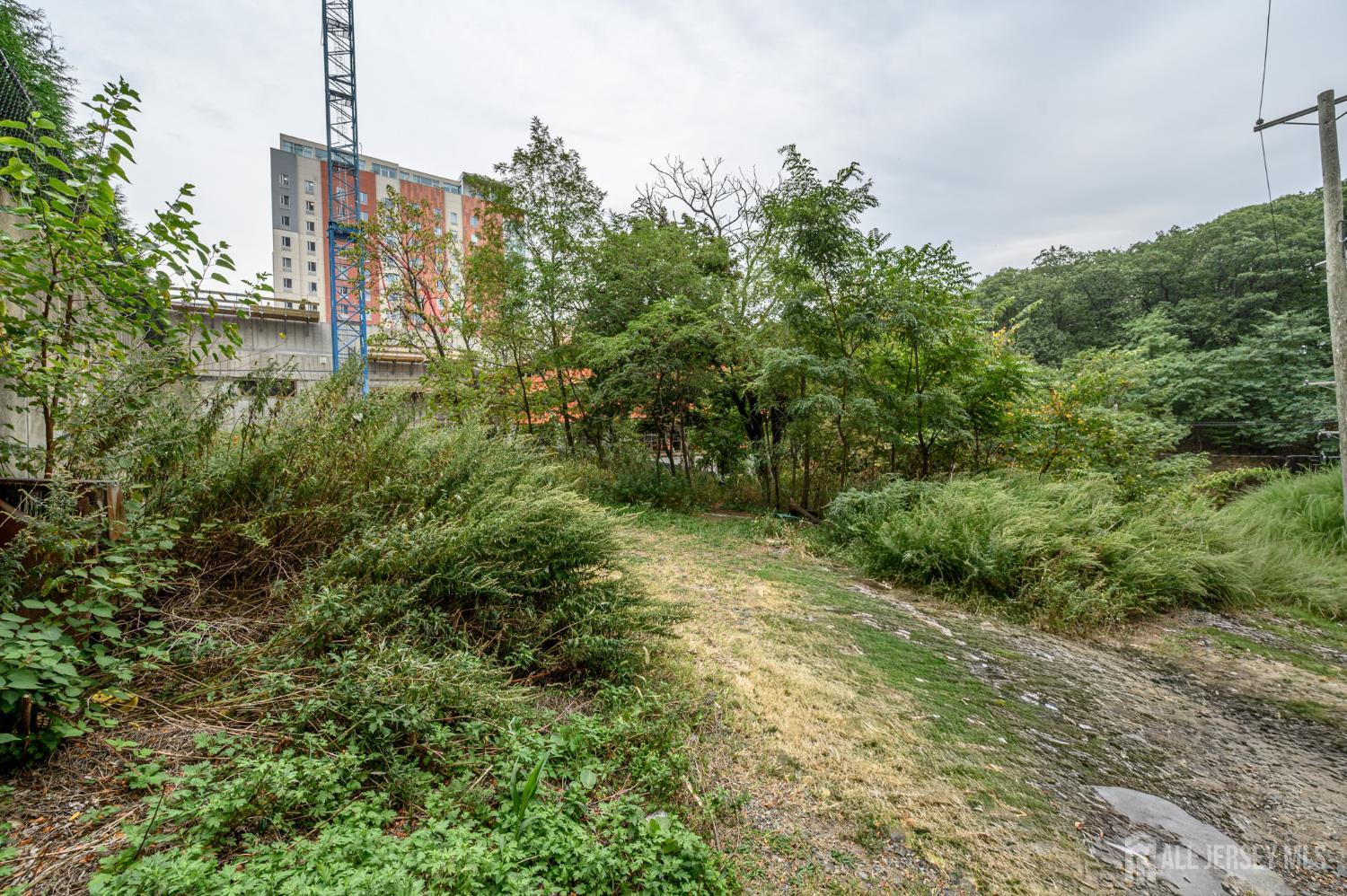 107 Old Palisade Road Fort Lee, NJ 07024 - Photo 7 of 11 a view of a garden with plants