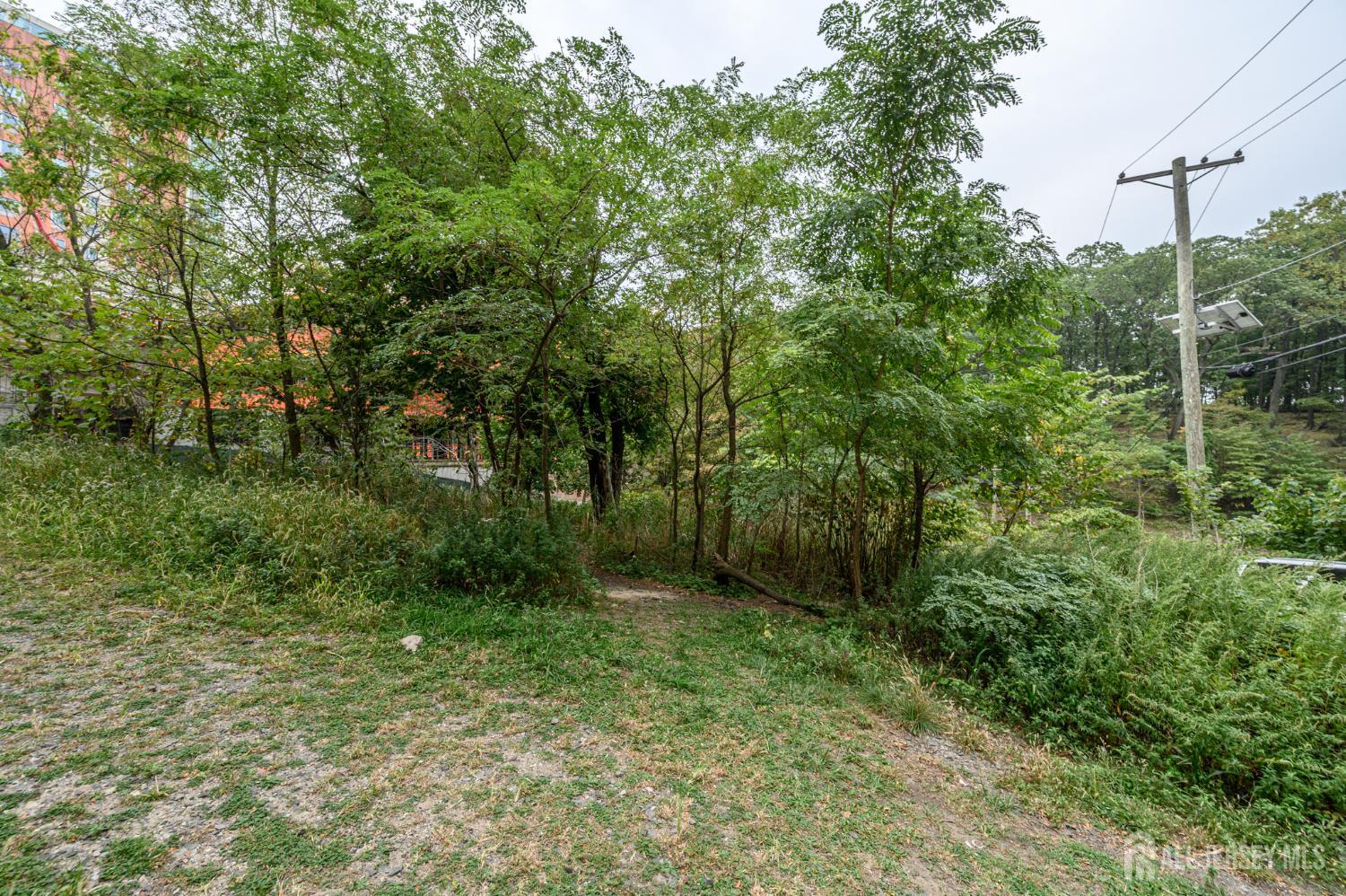 107 Old Palisade Road Fort Lee, NJ 07024 - Photo 8 of 11 a view of a lush green forest