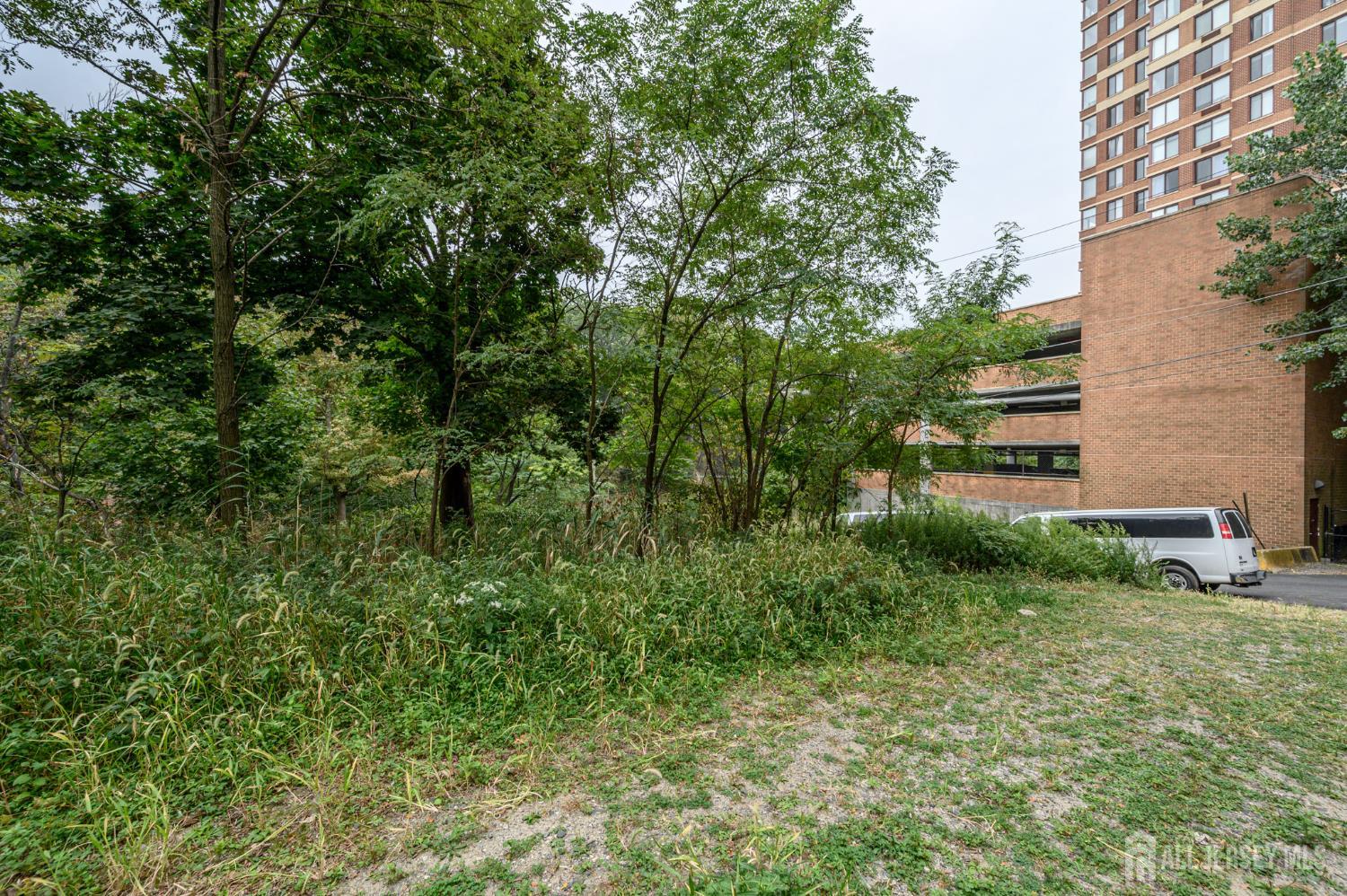 107 Old Palisade Road Fort Lee, NJ 07024 - Photo 9 of 11 a view of a lush green forest