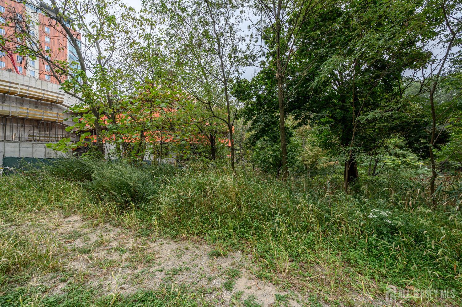 107 Old Palisade Road Fort Lee, NJ 07024 - Photo 10 of 11 a view of a house with a tree
