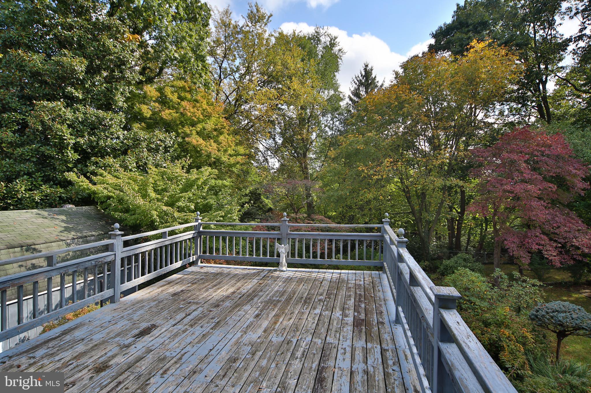 134 Rochelle Avenue Philadelphia, PA 19128 - Photo 20 of 28 Gallery Image 20