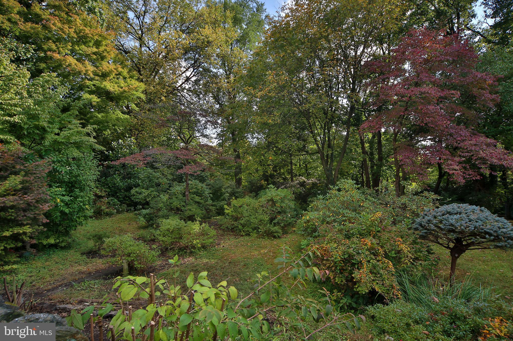 134 Rochelle Avenue Philadelphia, PA 19128 - Photo 21 of 28 Gallery Image 21