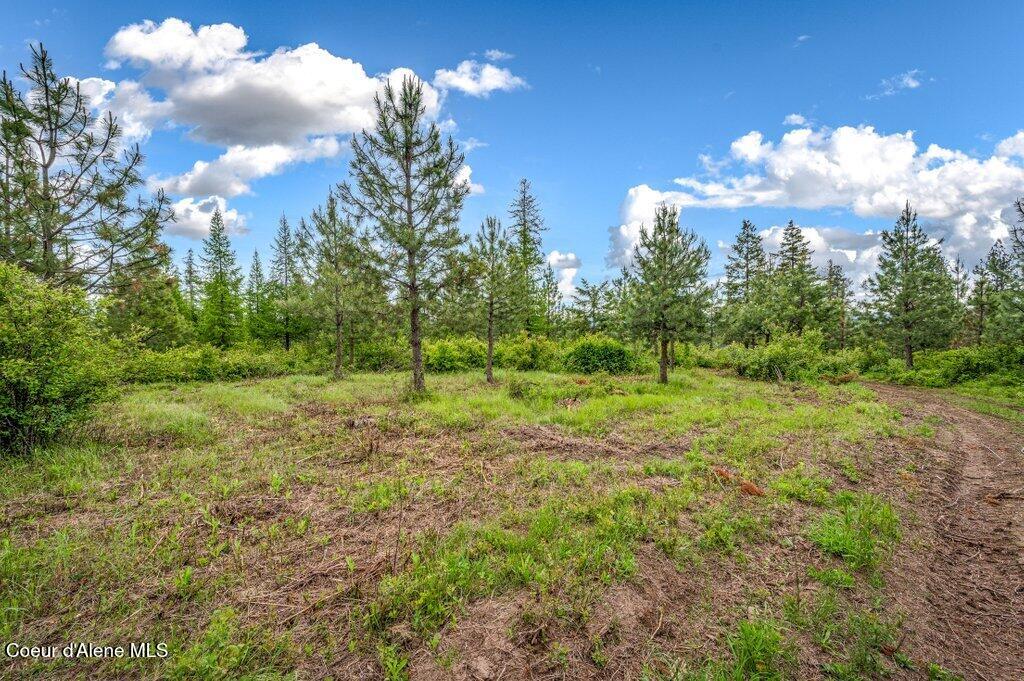 1 Freedom Way Road Plummer, ID 83851 - Photo 30 of 34 --41.jpg-SMALL