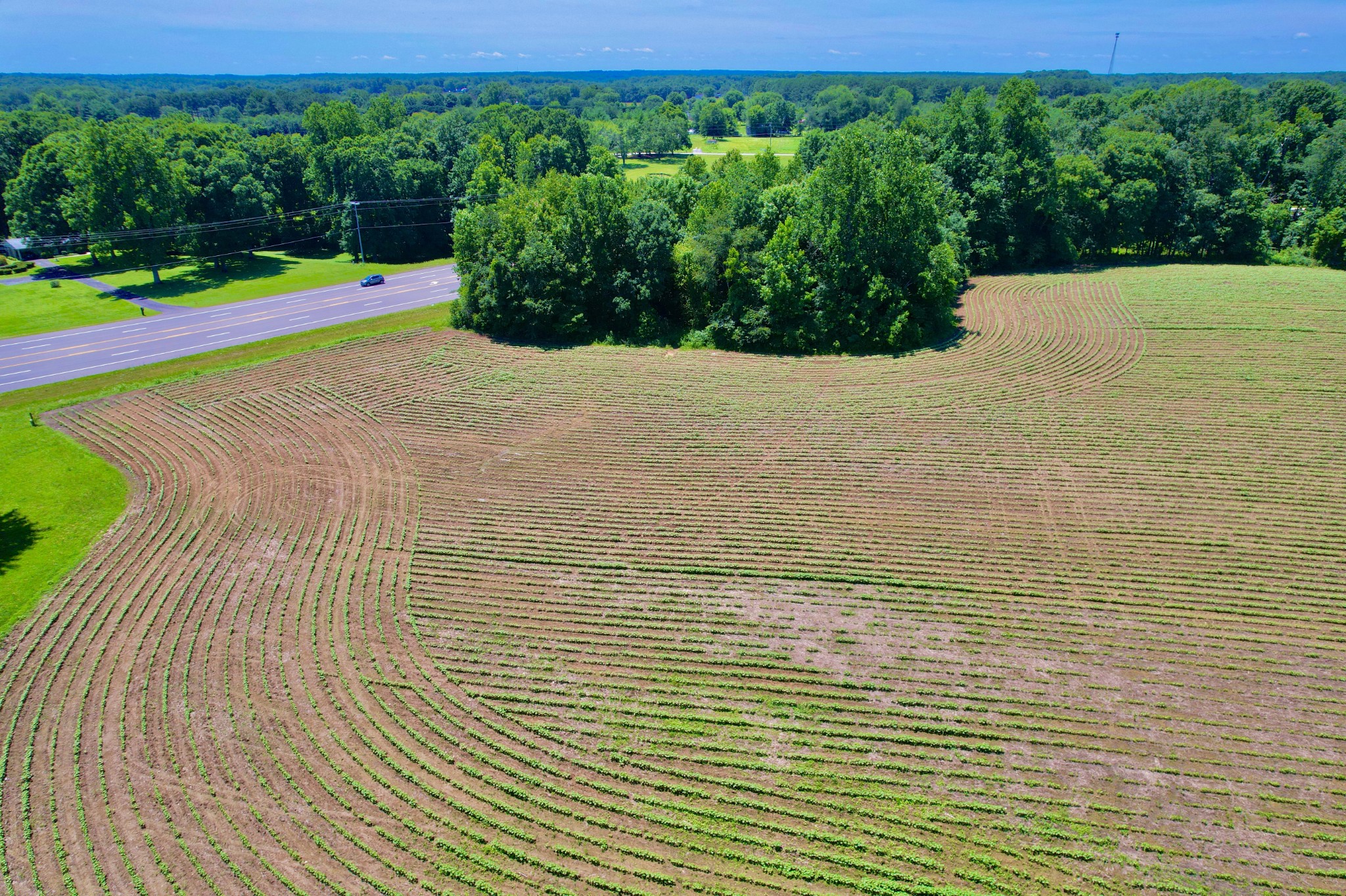 20 Lambs Ferry Road Leoma, TN 38468 - Photo 5 of 12