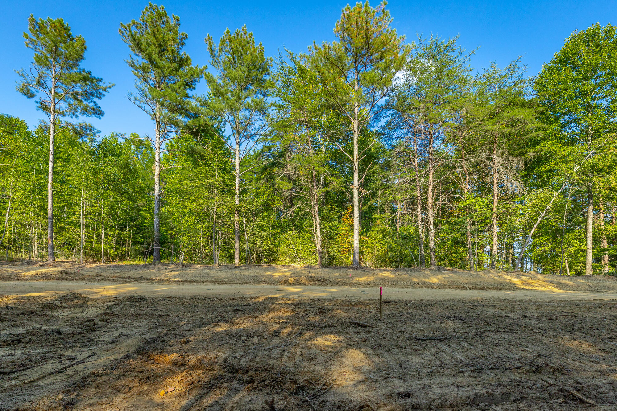 0 High Ground Road, Unit LOT 2218 Guild, TN 37340 - Photo 18 of 115 0 High Ground Road - Lot 2218 HD-53