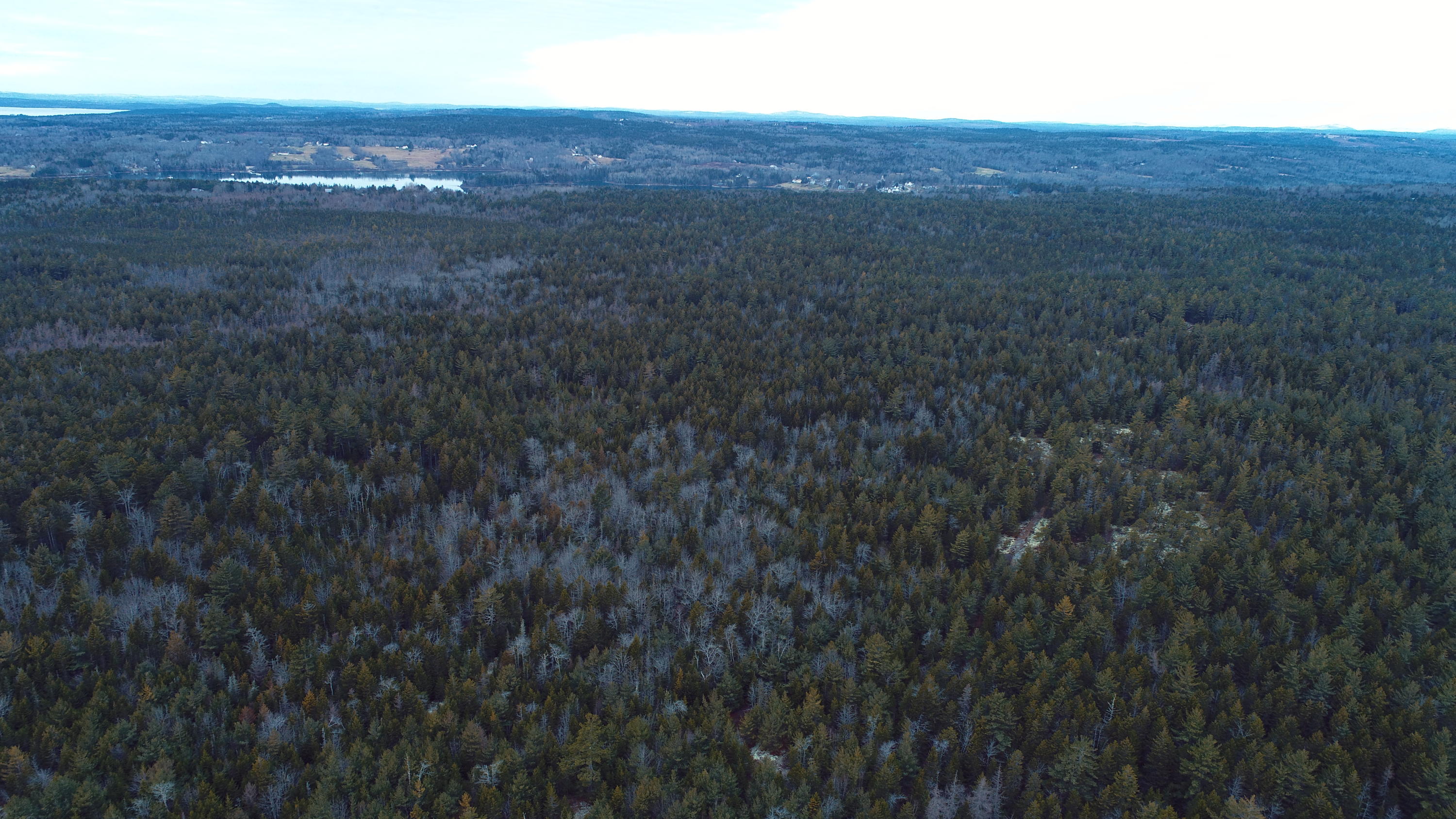 Off Folly Road Brooklin, ME 04616 - Photo 12 of 28 DJI_0011