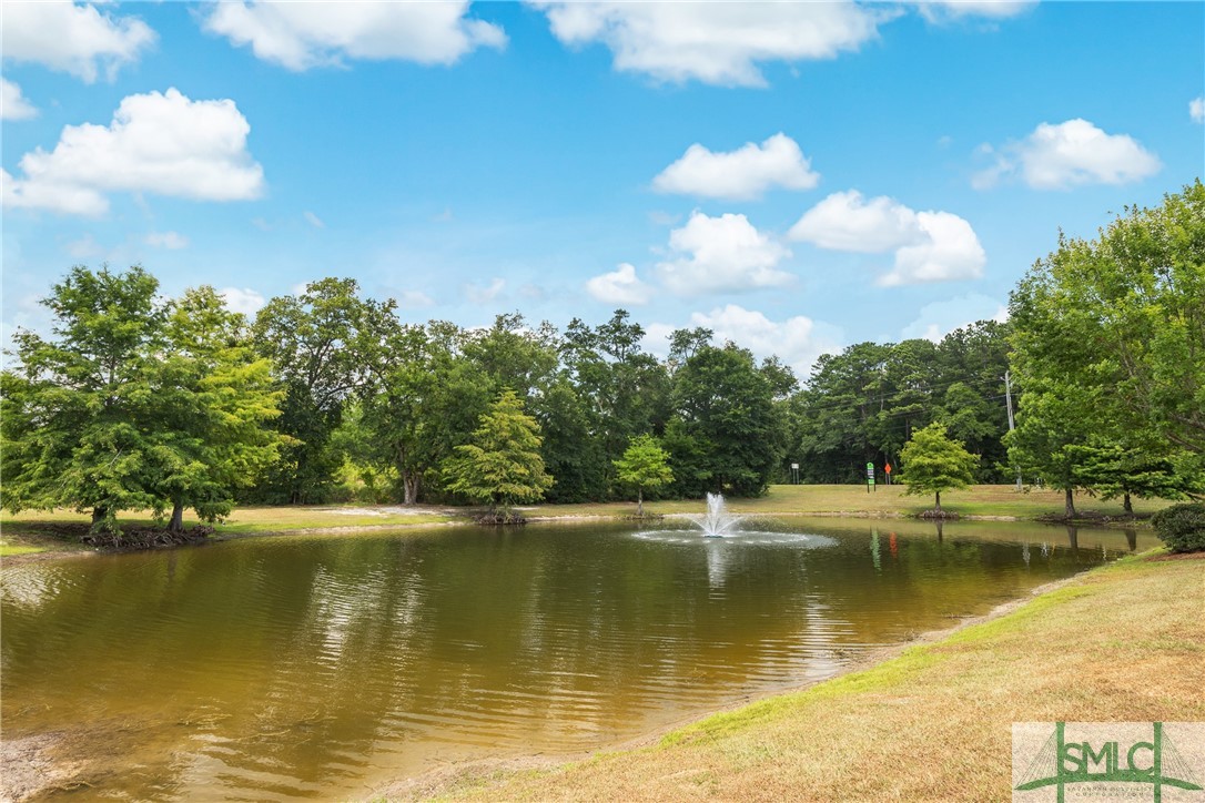 124 Watson Mill Road Guyton, GA 31312 - Photo 49 of 50