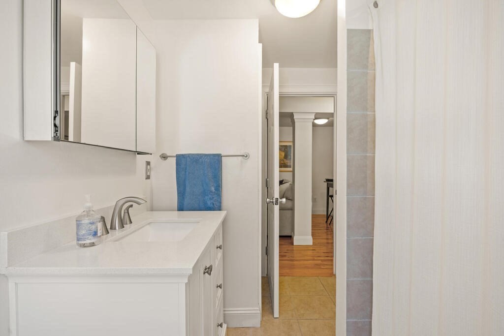 280 E Street, Unit 1 Boston, MA 02127 - Photo 16 of 19 a bathroom with a sink and a mirror