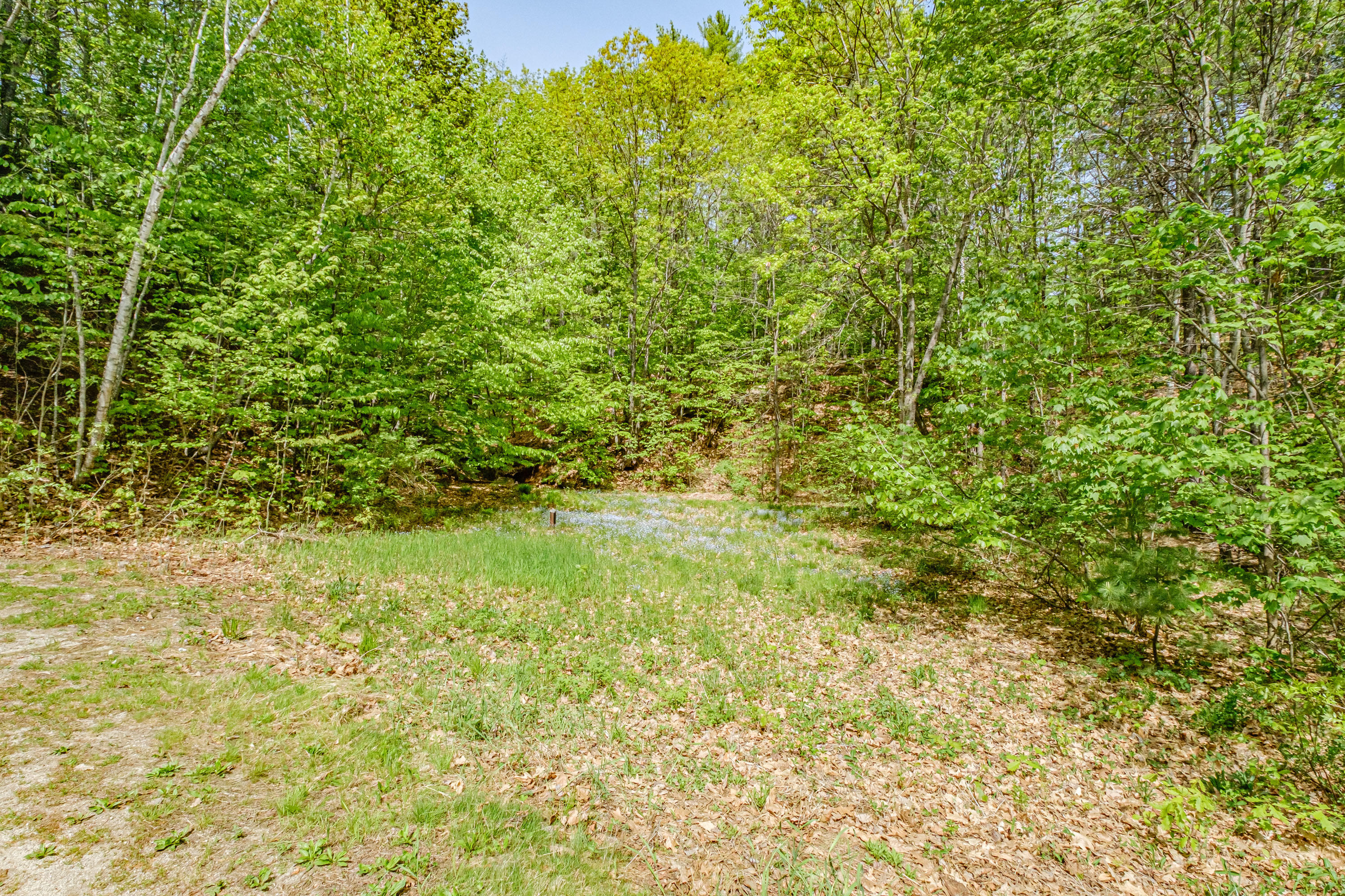 61 Sebago Road Naples, ME 04055 - Photo 4 of 47 20210518gp-60003