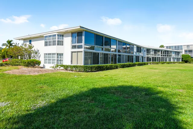 a view of a lake with a palm tree