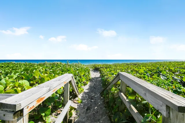 a view of a yard with wooden fence