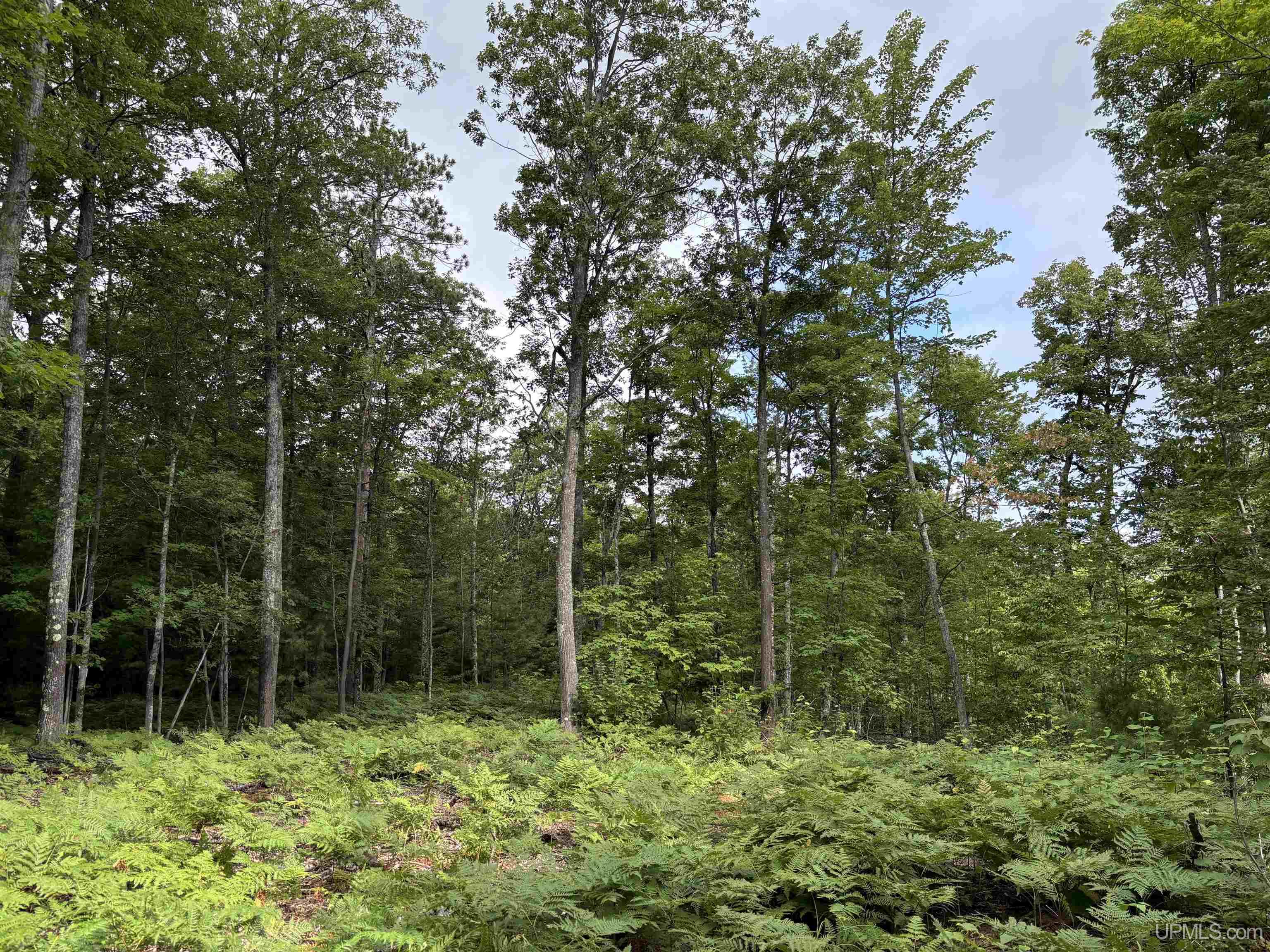 Tbd Neejee Road Negaunee, MI 49866 - Photo 17 of 29 Gallery Image 17