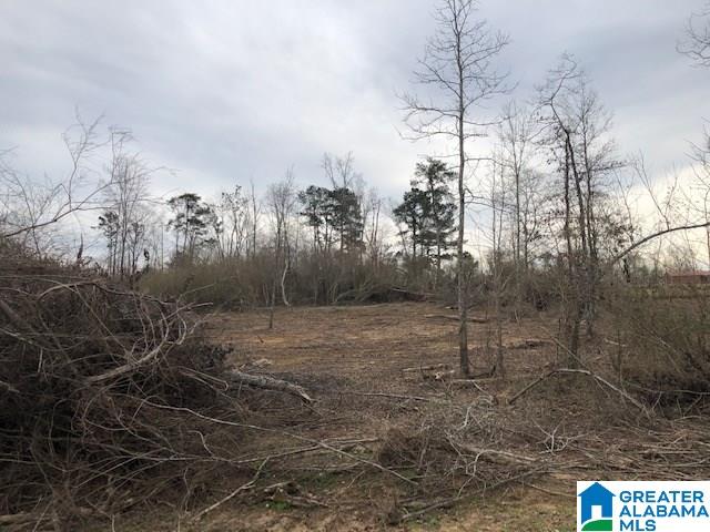 0 Pine Mountain Road, Unit 3 Springville, AL 35146 - Photo 7 of 14