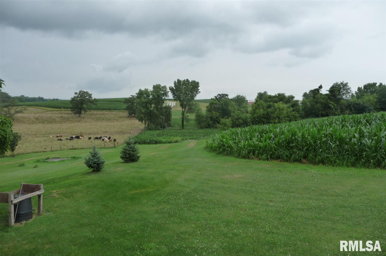 245 Washington Mills Road Zwingle, IA 52079 - Photo 9 of 24