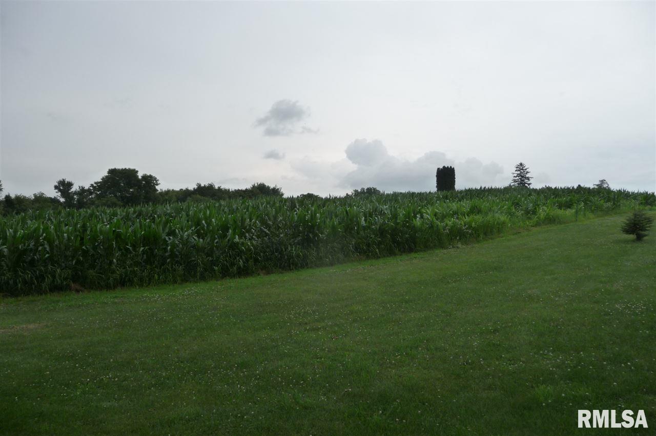 245 Washington Mills Road Zwingle, IA 52079 - Photo 10 of 24