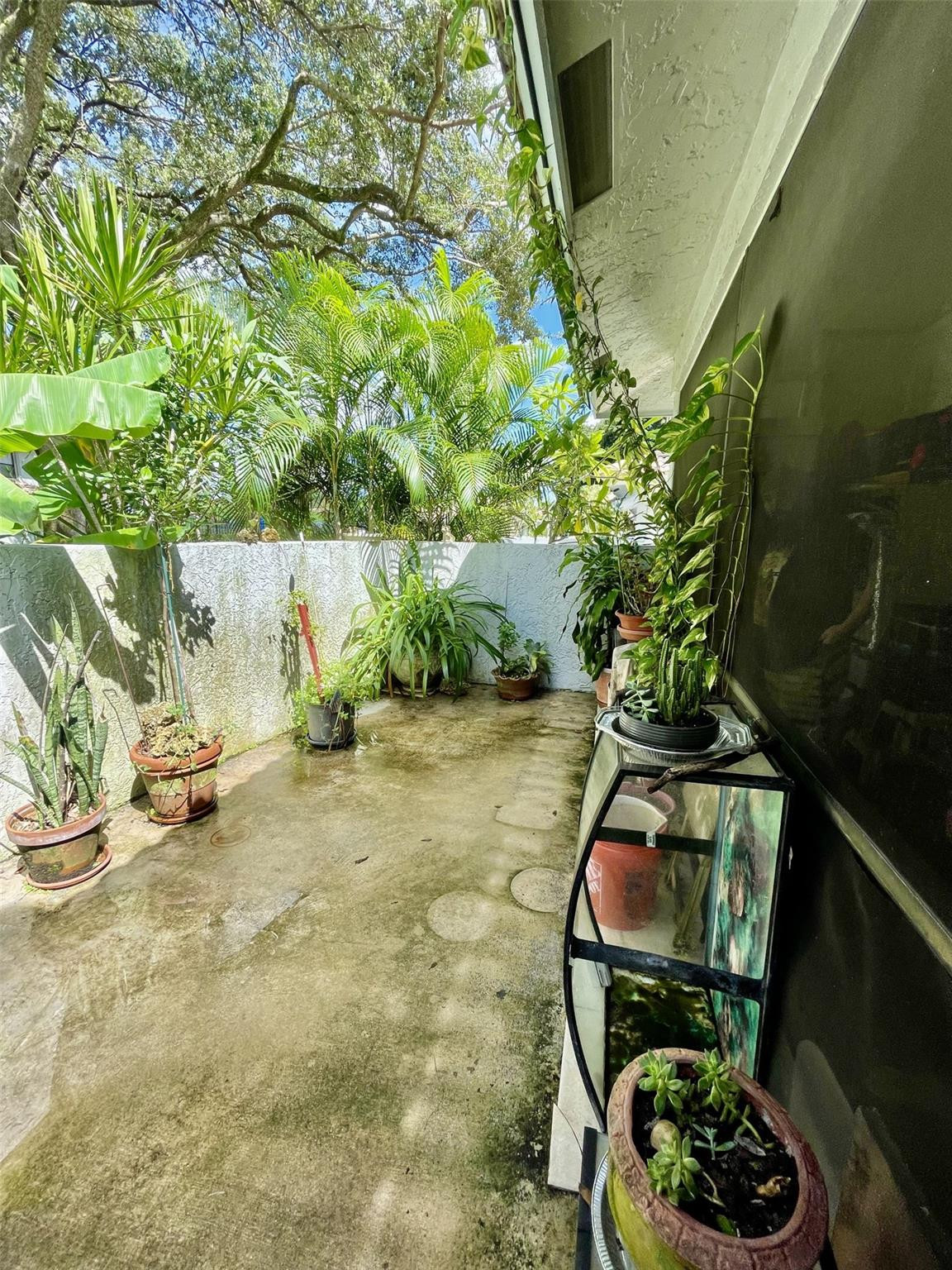 9787 Riverside Drive, Unit 624 Coral Springs, FL 33071 - Photo 19 of 21 a backyard of a house with lots of green space