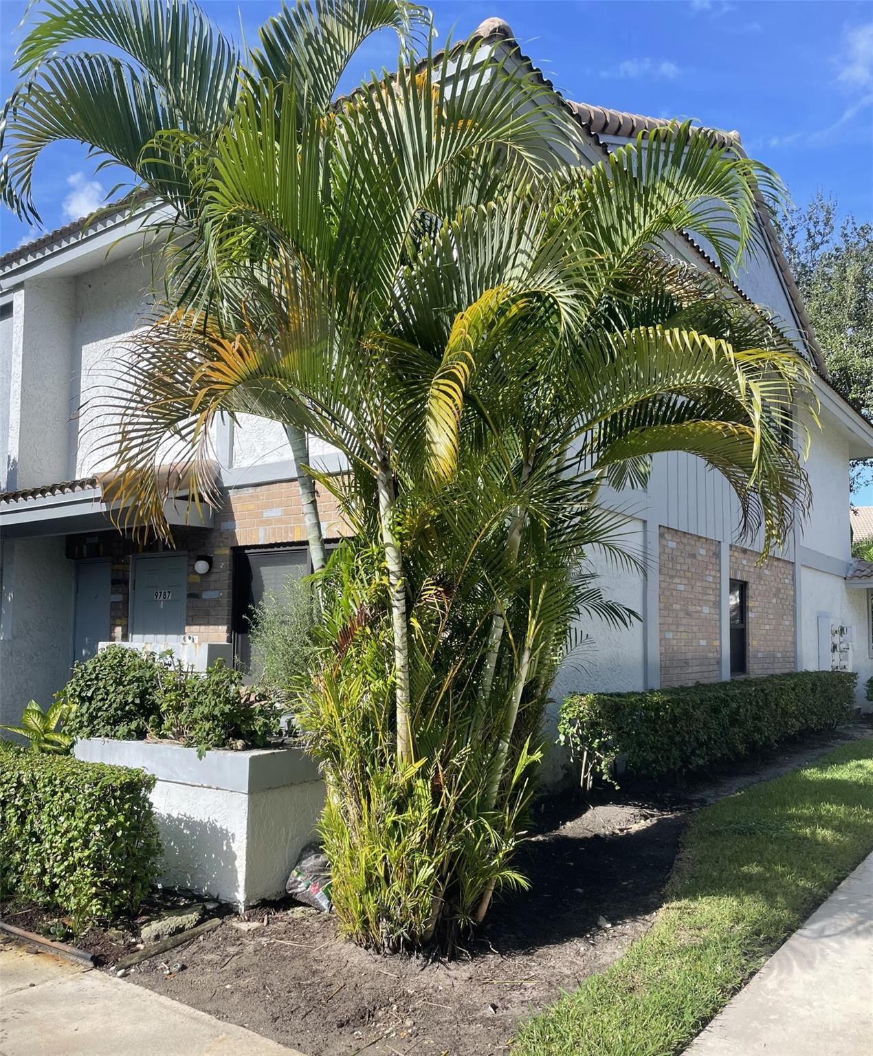 9787 Riverside Drive, Unit 624 Coral Springs, FL 33071 - Photo 2 of 21 a view of a garden with a fountain