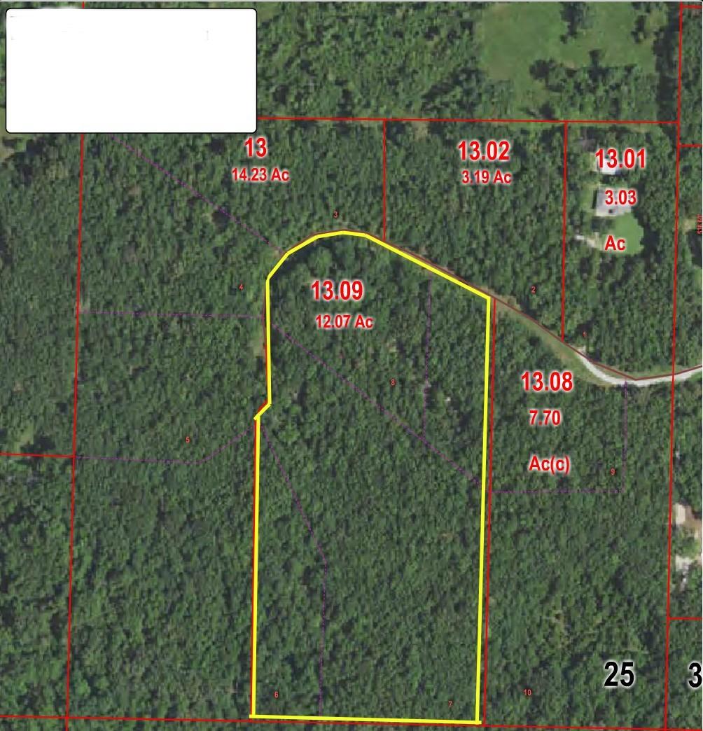 12.07 Phoenix Road Marshfield, MO 65706 - Photo 1 of 1 Aerial