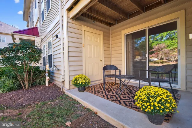 a view of a chairs and table in the backyard