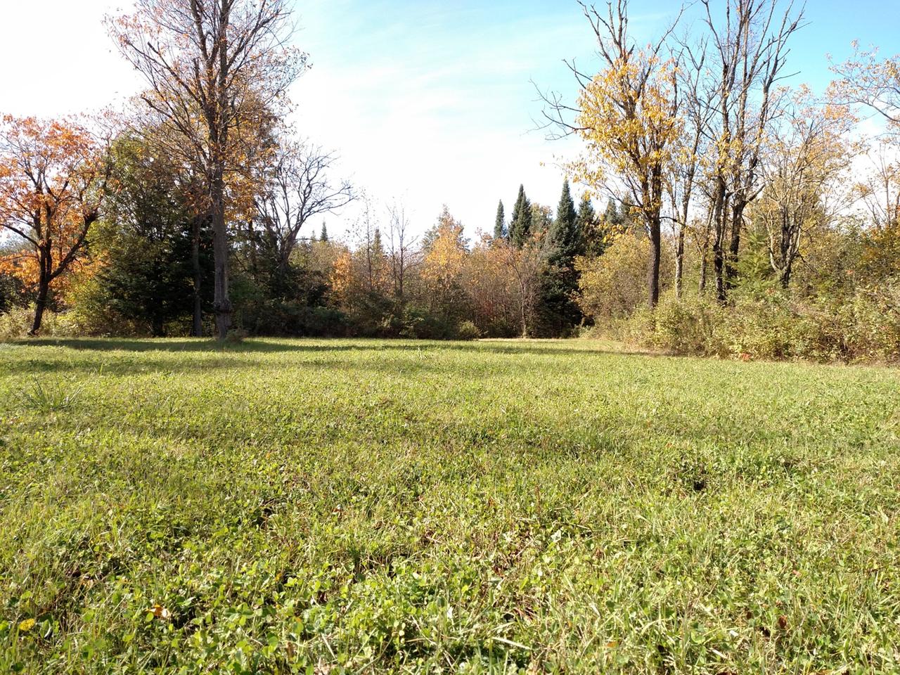7123 Fadness Road Winter, WI 54896 - Photo 19 of 43 Gallery Image 19