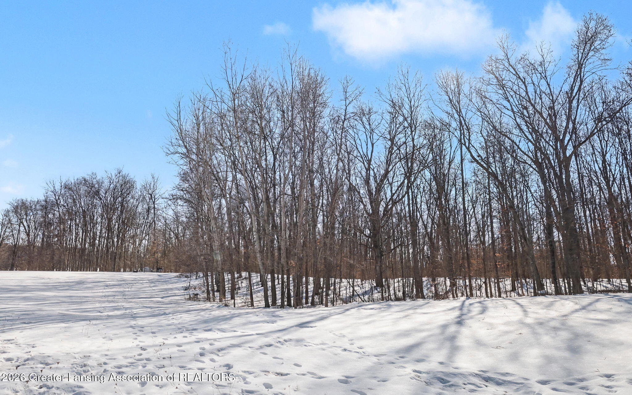 0 27 27 Mile Road Albion, MI 49224 - Photo 22 of 47 17-web-or-mls-IMG_8669