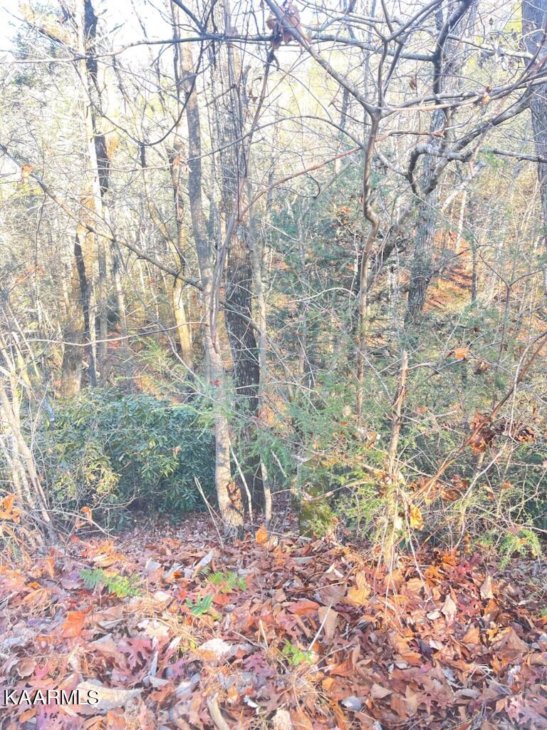 Oldham Creek Road Sevierville, TN 37876 - Photo 1 of 7 IMG_8143