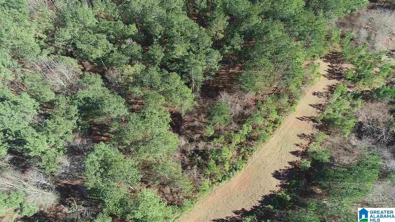 0 Baggett Road, Unit 78 / ACRES Ashland, AL 36251 - Photo 13 of 13