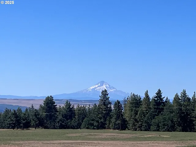 a view of house with yard and outdoor space