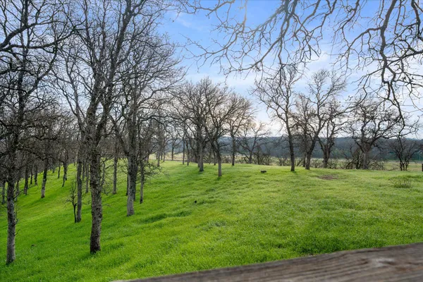 a view of a park