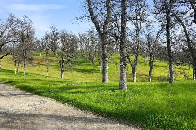 $550,000 | 19725 Quercus Lobata Byway, Red Bluff, CA 96080